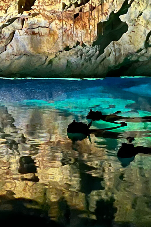 Mallorca: PREMIUM Aquatic Cave Exploration Guided Tour - Accessibility and Physical Requirements