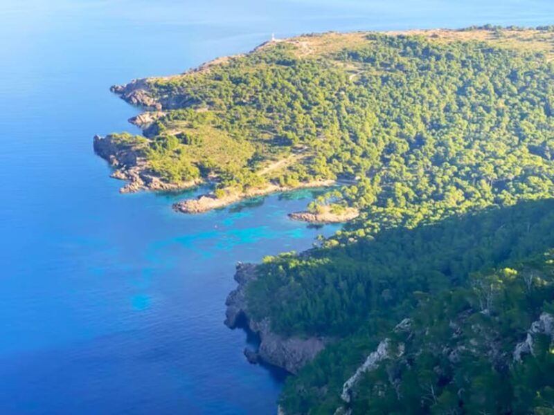 Mallorca: Private Boat Trip to Alcudia, Pollensa & Formentor - Practical Tips for the Trip