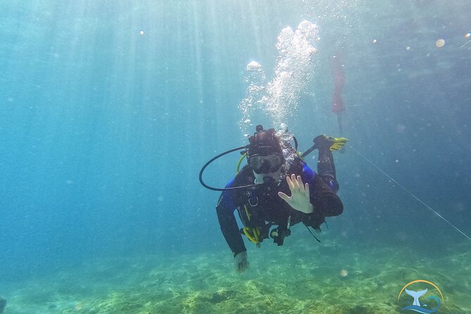 Mallorca PRIVATE Reservation*Scuba dive + photo/video - Key Points