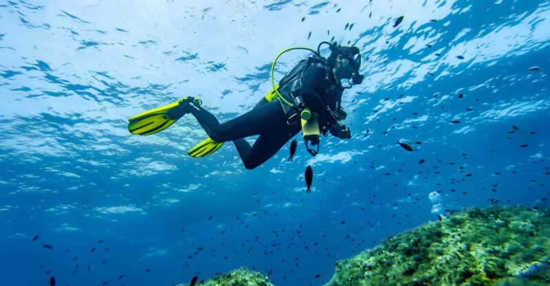 Mallorca: Scuba Dive Adventure Cap Formentor - 1 Dive (license required) - Discover the Mallorca: Scuba Dive Adventure Cap Formentor for Certified Divers