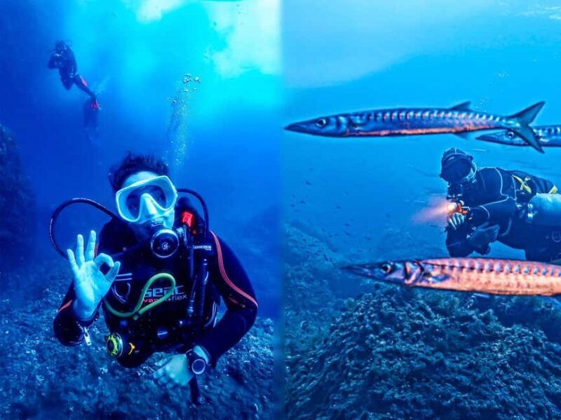 Mallorca: Scuba Dive Adventure Cap Formentor 2 Dive Sites (License Only) - Key Points