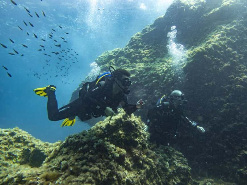 Mallorca: Scuba Dive Adventure Cap Formentor 2 Dive Sites (License Only) - Final Thoughts on the Mallorca Dive Adventure