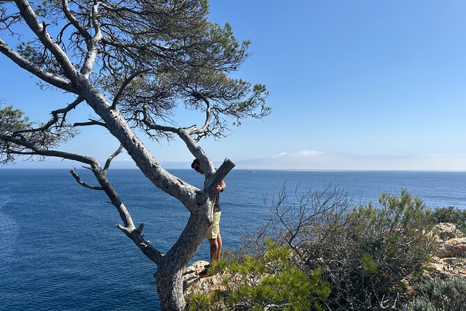 Mallorca Secret Coves Land Rover Private Tour - Introduction to Mallorca’s Hidden Coastal Gems