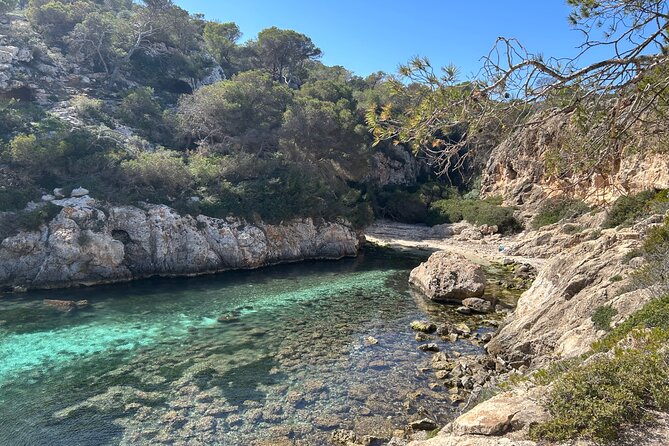 Mallorca Secret Coves Land Rover Private Tour - Practical Considerations and Potential Drawbacks