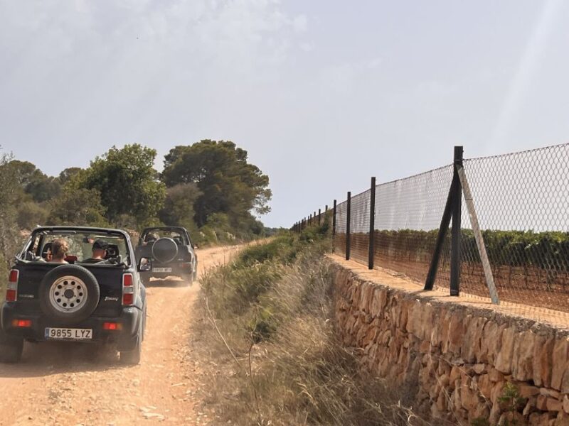 Mallorca: Self Drive 4x4 Jeepsafari Tour - Discover Mallorca in a 4-Hour Self-Drive 4x4 Jeep Safari