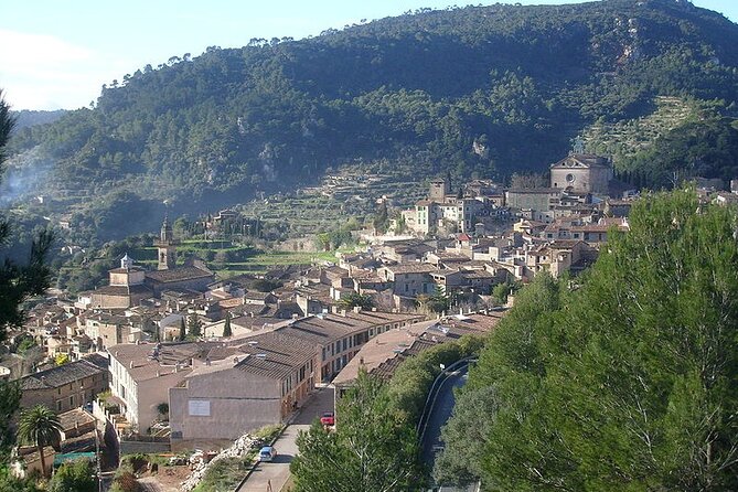 Mallorca Shore Excursion Highlights Private Tour including Valldemossa - What Makes This Tour Stand Out