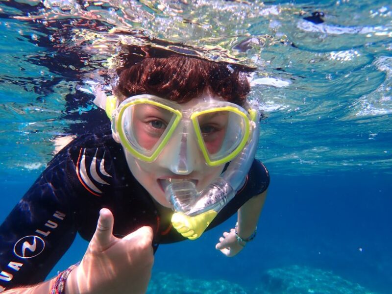 Mallorca: Snorkeling in a Beautiful Nature Reserve - Discover Mallorca’s Hidden Underwater World for $57