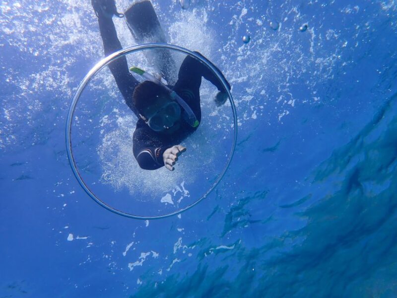 Mallorca: Snorkeling in a Beautiful Nature Reserve - Experience with Professional Guides and Personal Attention