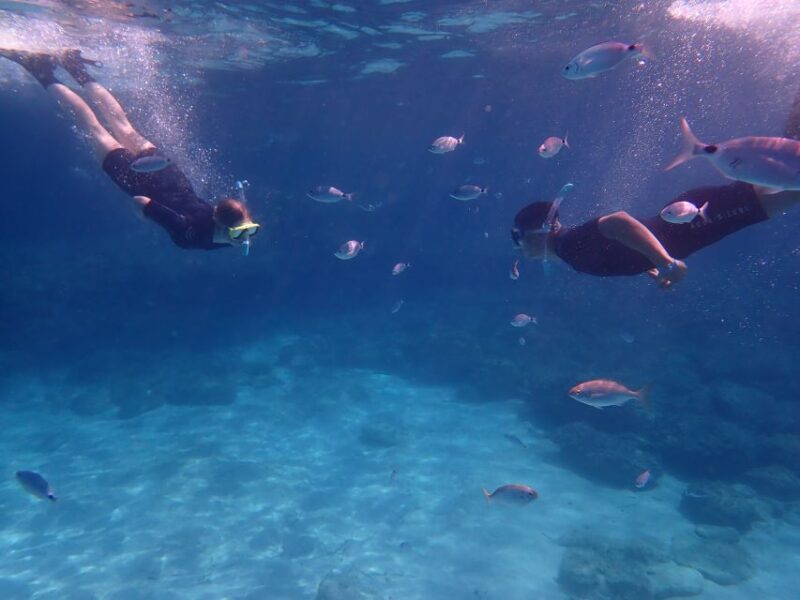 Mallorca: Snorkeling in a Beautiful Nature Reserve - The Experience of Upgrading or Exploring More