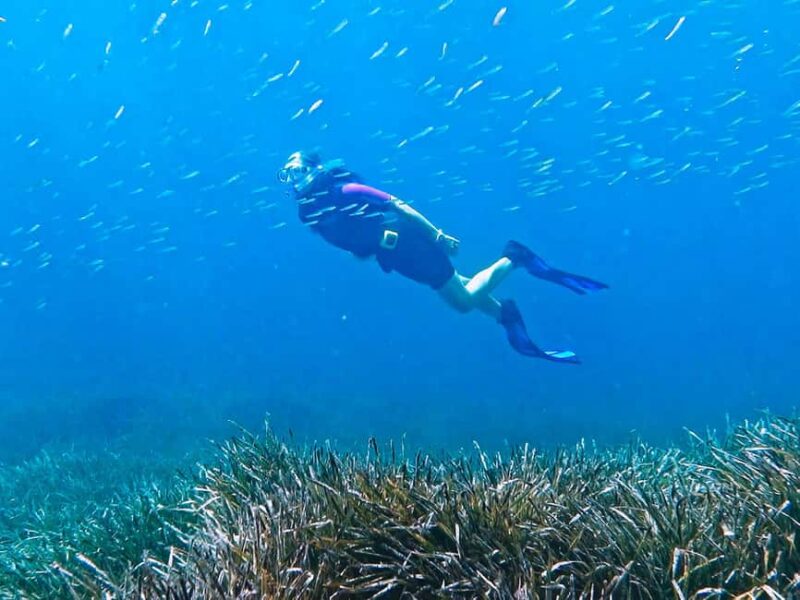 Mallorca: Snorkeling tour with diving instructor from a boat - Cap de Formentor - Duration and Group Size: Flexibility and Personal Attention