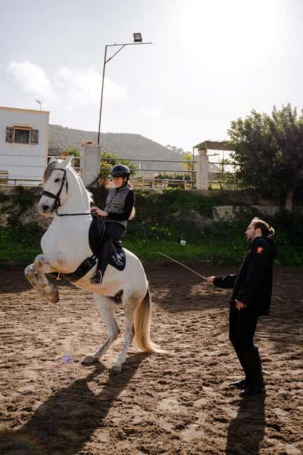 Mallorca: Spanish Classical High School Riding Lesson - Explore Mallorca’s Premier High-Level Riding Experience