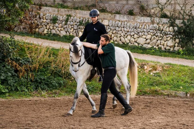 Mallorca: Spanish Classical High School Riding Lesson - Deepening Your Understanding of Collection and Balance