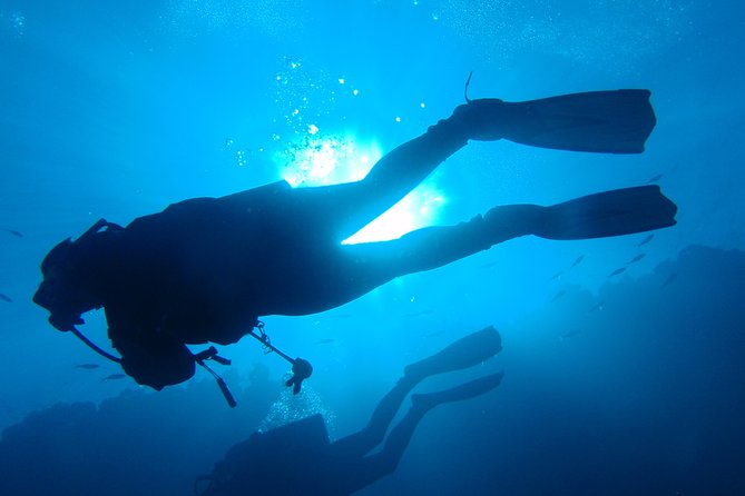 Mallorca: SSI Open Water Diver course - Comprehensive Introduction to the Mallorca SSI Open Water Diver Course