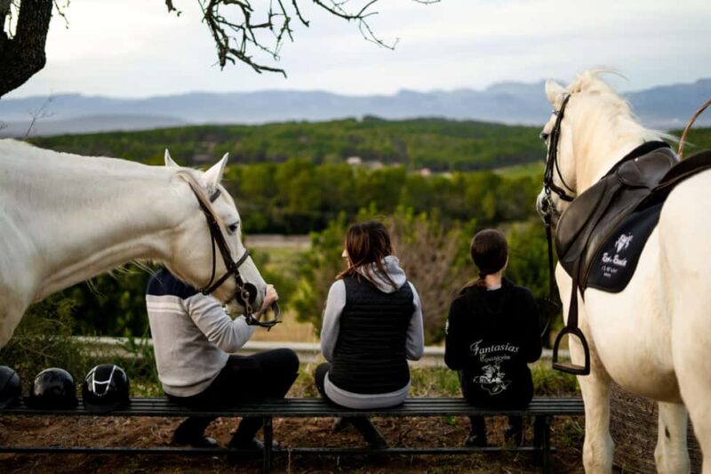 Mallorca: Sunset Horseback Ride with Drinks - Key Points