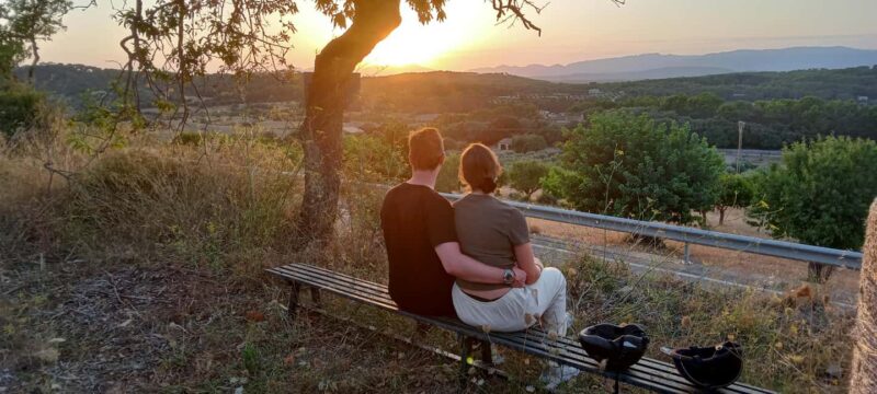 Mallorca: Sunset Horseback Ride with Drinks - The Andalusian Horses and Their Calm Nature