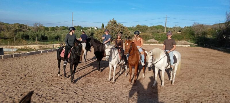 Mallorca: Sunset Horseback Ride with Drinks - The Scenic Viewpoint and Sunset Experience