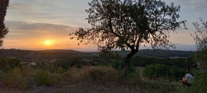 Mallorca: Sunset Horseback Ride with Drinks - Why Choose This Sunset Horseback Ride in Mallorca