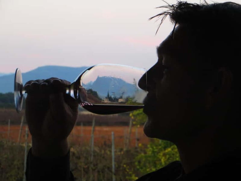 Mallorca: Sunset Wine Tasting Minibus Bodega Tour - Savoring Majorcan Wines and Tapas