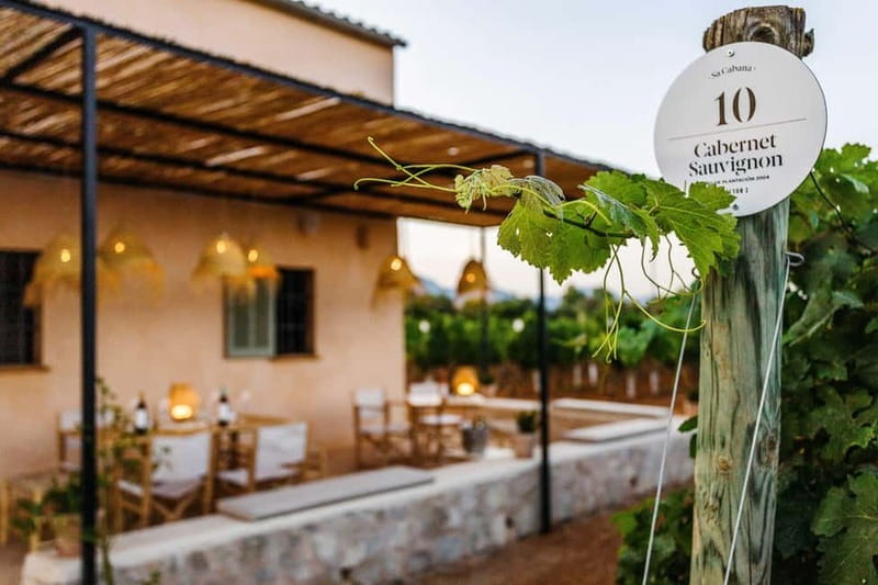 Mallorca: Sunset Wine Tasting Minibus Bodega Tour - The Sunset Over the Vineyards