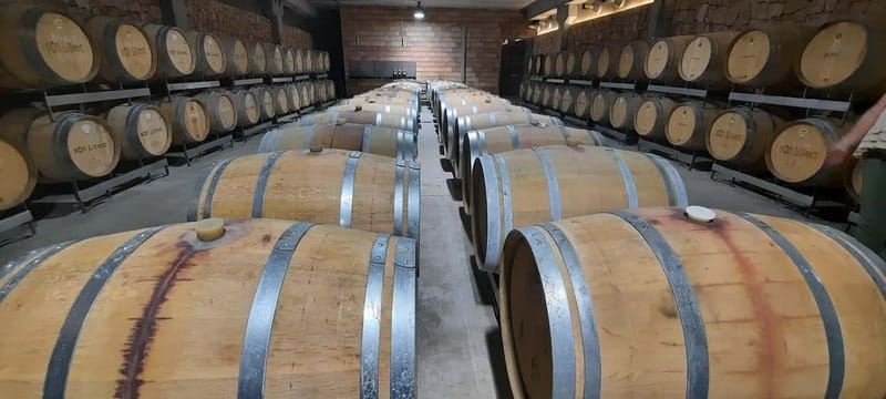 Mallorca: Sunset Wine Tasting Minibus Bodega Tour - Logistics and Practical Tips for Participants