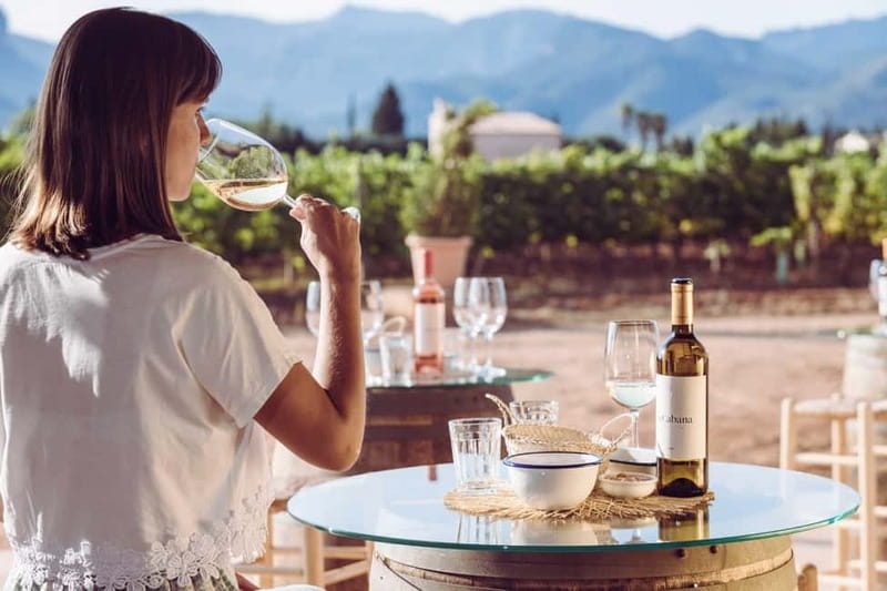 Mallorca: Sunset Wine Tasting Minibus Bodega Tour - The Experience from a Guest Perspective