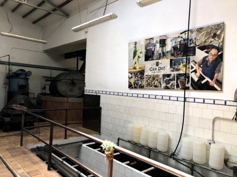 Mallorca: Tramuntana Mountains Tour with Local Guide & Lunch - Visiting a Family-Run Olive Oil Mill in Soller