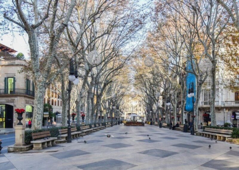 Mallorca: Transfer to Palma self-guided Tour - Pickup and Transfer to Palma from Multiple Locations