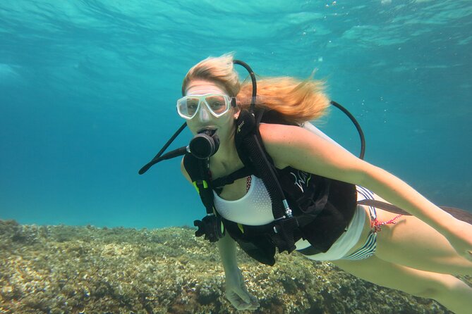 Mallorca: Try Scuba Diving in a Beautiful Nature Reserve - Key Points