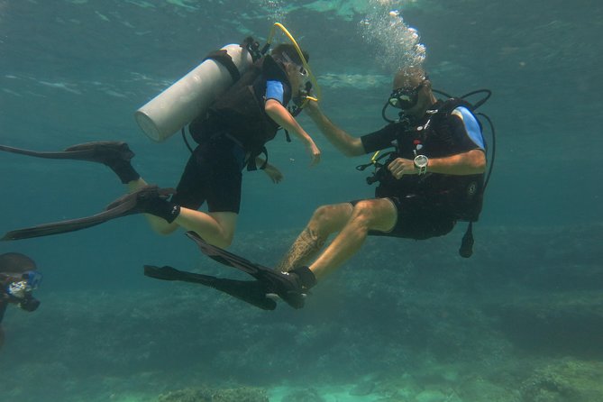 Mallorca: Try Scuba Diving in a Beautiful Nature Reserve - Professional Guides Ensure Safety and Confidence