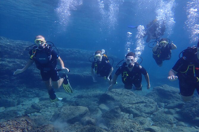 Mallorca: Try Scuba Diving in a Beautiful Nature Reserve - Flexible Booking and Cancellation Policy