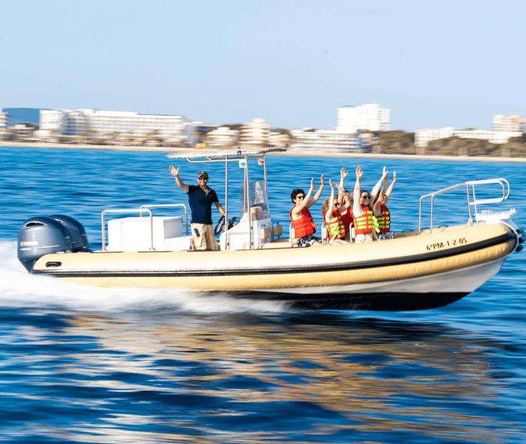 Mallorca: Visit Palma Speedboat adrenaline & snorkelling - Key Points