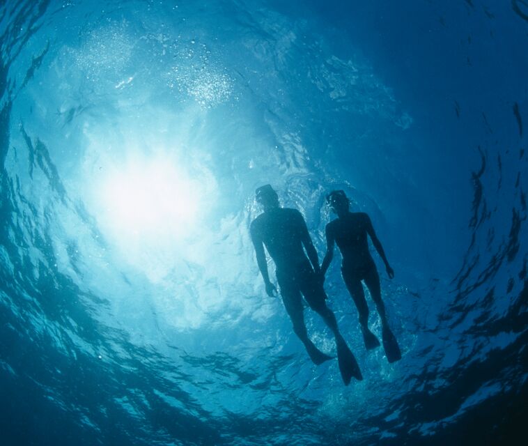 Mallorca: Visit Palma Speedboat adrenaline & snorkelling - Why This Tour Stands Out in Mallorca