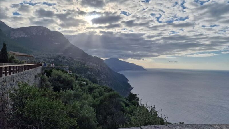 Mallorca: West Coast & Orange Valley Minbustour - Key Points