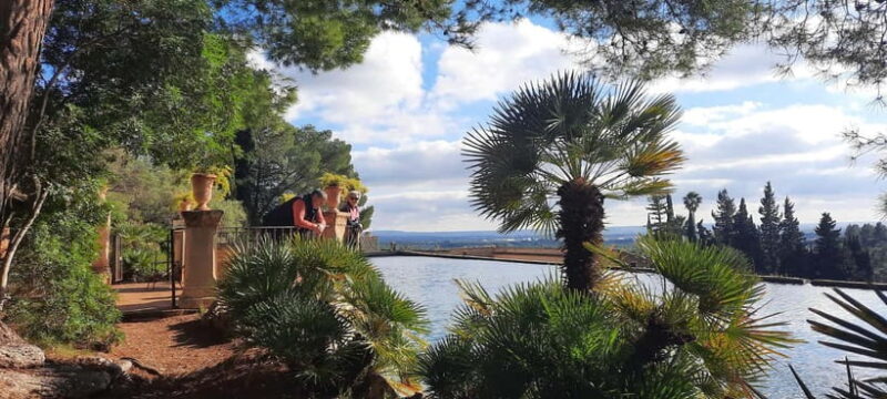 Mallorca: West Coast & Orange Valley Minbustour - Visiting the Historic Country Manor House and Gardens