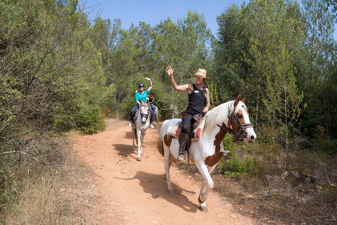 Mallorca Wine and Cheese Tasting - Logistics and Booking Details