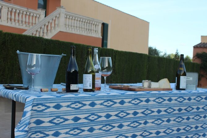 Mallorca Wine and Cheese Tasting - How This Tasting Compares to Other Mallorca Activities
