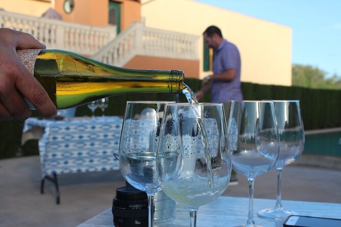 Mallorca Wine and Cheese Tasting - Who Will Most Enjoy This Experience