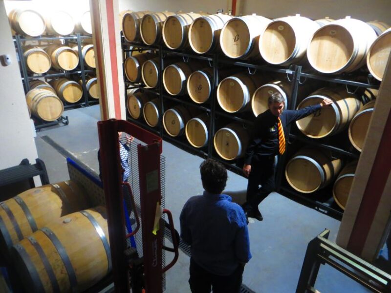 Mallorca: Wine Cellar Tour XL - including 3 Wine Tastings - Visit Three Distinct Wineries in Key Regions