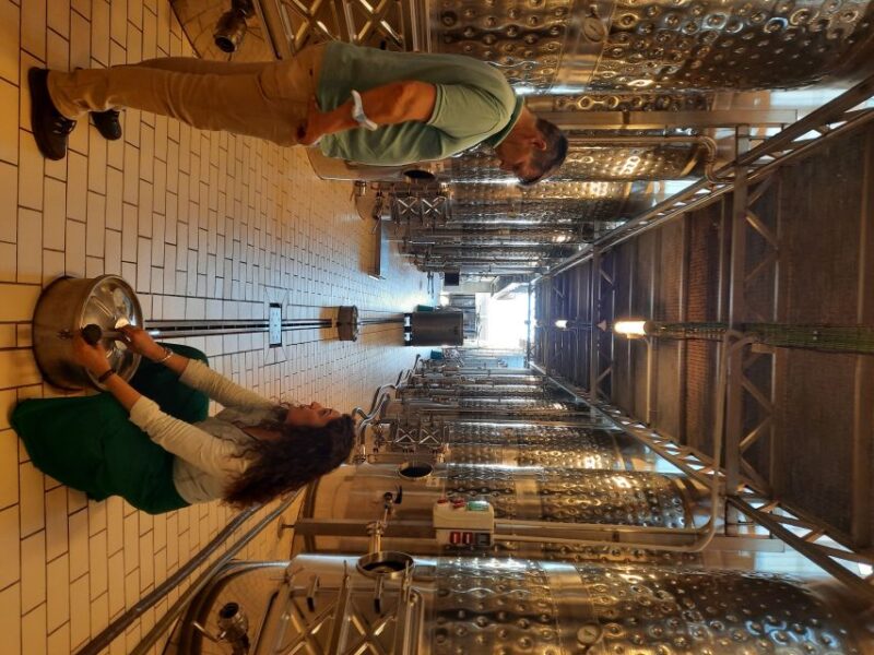 Mallorca: Wine Cellar Tour XL - including 3 Wine Tastings - Logistics and Group Size