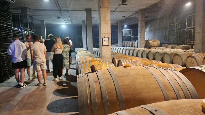 Mallorca: Wine Cellar Tour XL - including 3 Wine Tastings - Accessibility Considerations