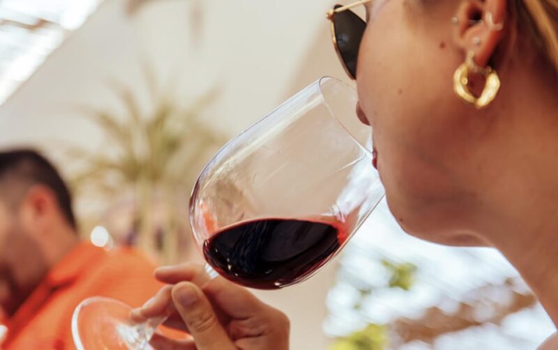 Mallorca Wine Tasting Experience: 4 wines & cheese - Suitability and Recommendations for Participants