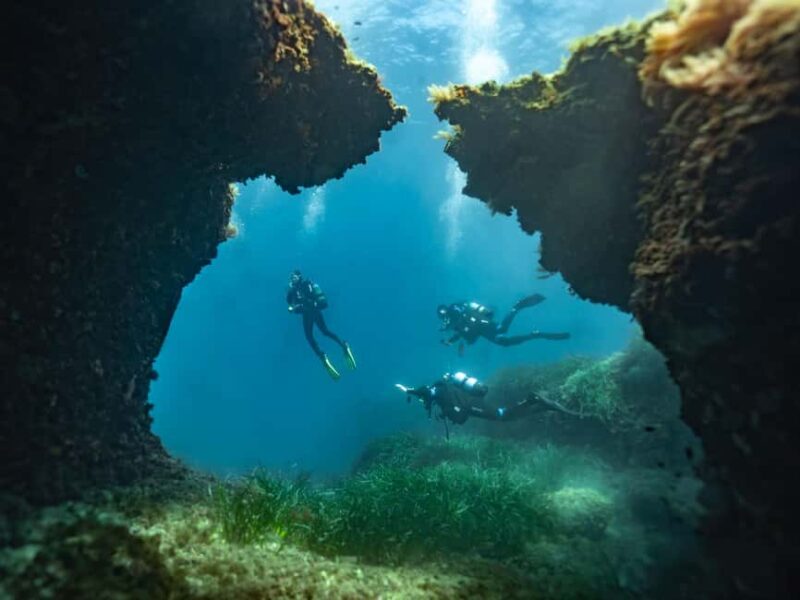 Mallorca: Winter diving adventure (for certified divers) - Key Points