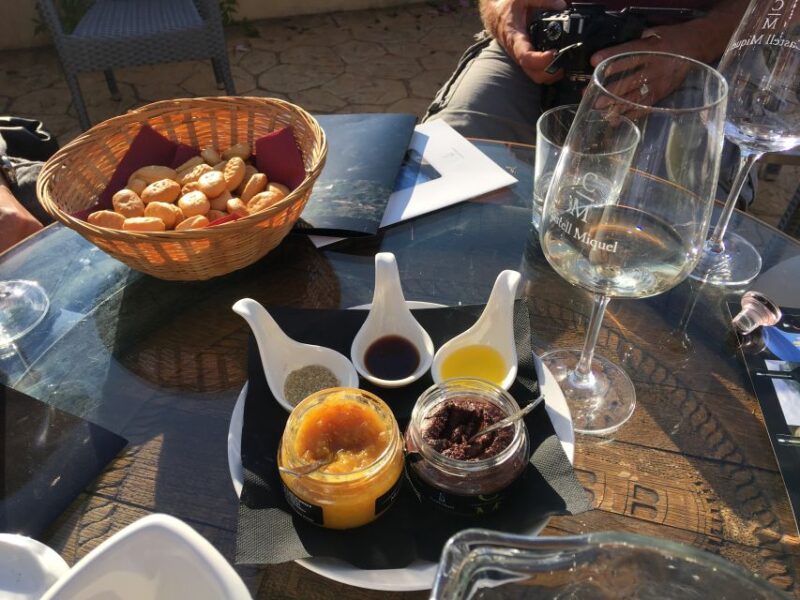 Mallorcan Family Winery Authentic Wine Tasting Experience - How the Tour Has Been Praised