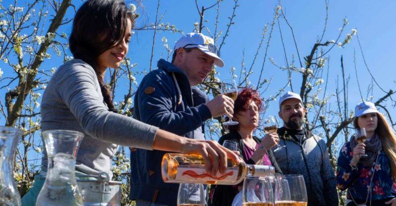 Mallorcas Emblematic Wineries Small Group Tour, two wineries - Savor Regional Specialties and the Mallorcan Atmosphere