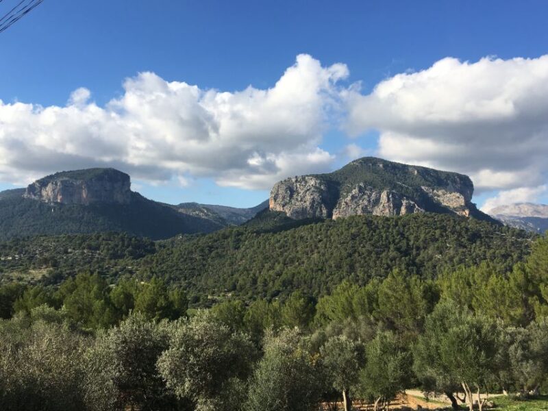 Mallorcas Emblematic Wineries Small Group Tour, two wineries - Scenic Views and Photographic Opportunities