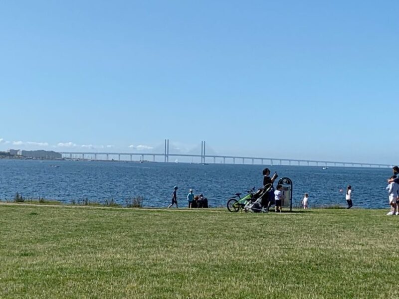 Malmö: 3-Hour Guided Walking Tour - Discovering Malmö’s Medieval Roots and Main Landmarks