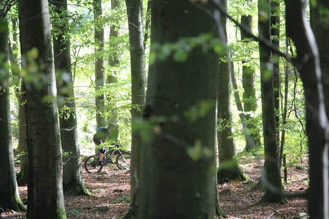 Malmo Bike Rental - Malmö Bike Rental: A Practical Way to See the City