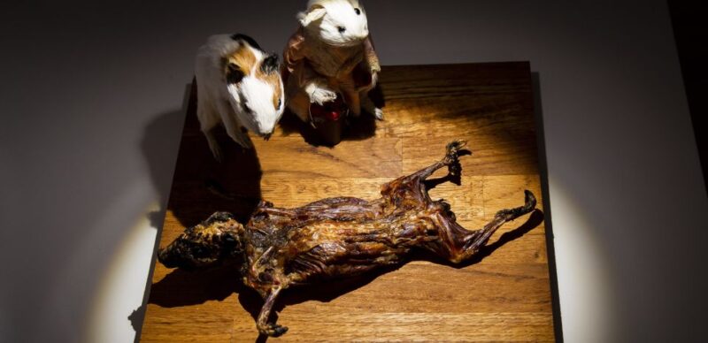 Malmö: Disgusting Food Museum Entrance Ticket - Taste Bizarre Foods at the Tasting Bar