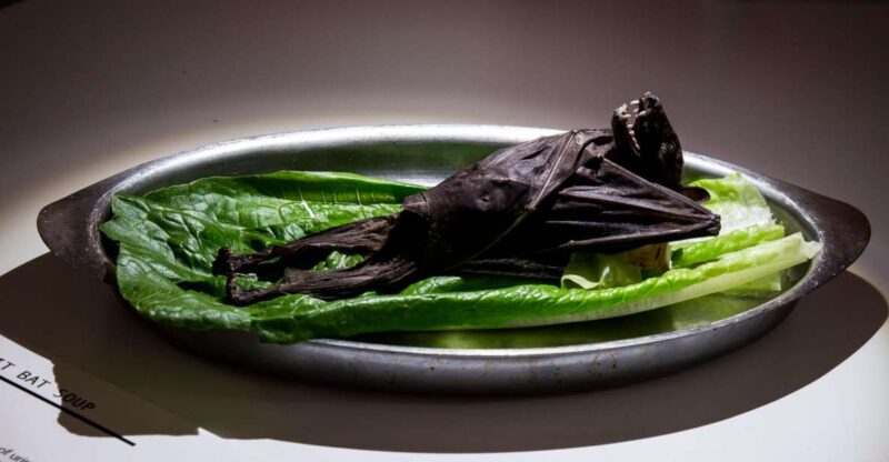 Malmö: Disgusting Food Museum Entrance Ticket - Practical Tips for Visiting the Disgusting Food Museum