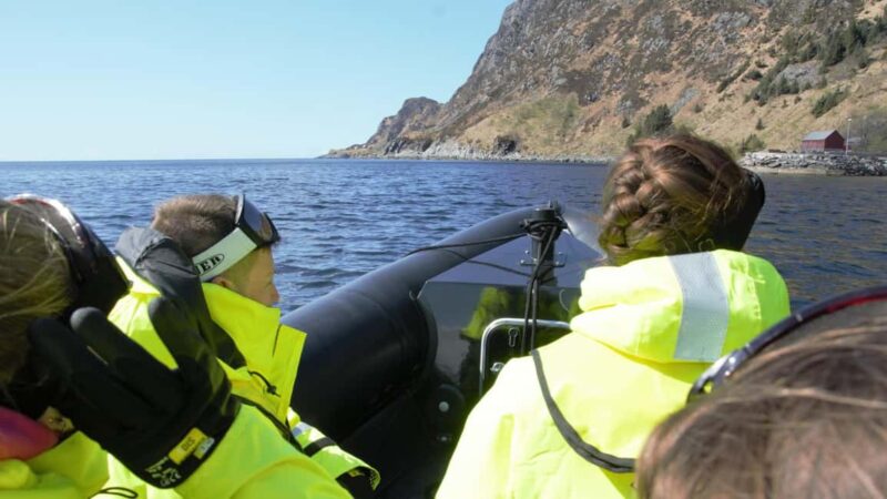 Måløy: RIB Boat Safari - Key Points